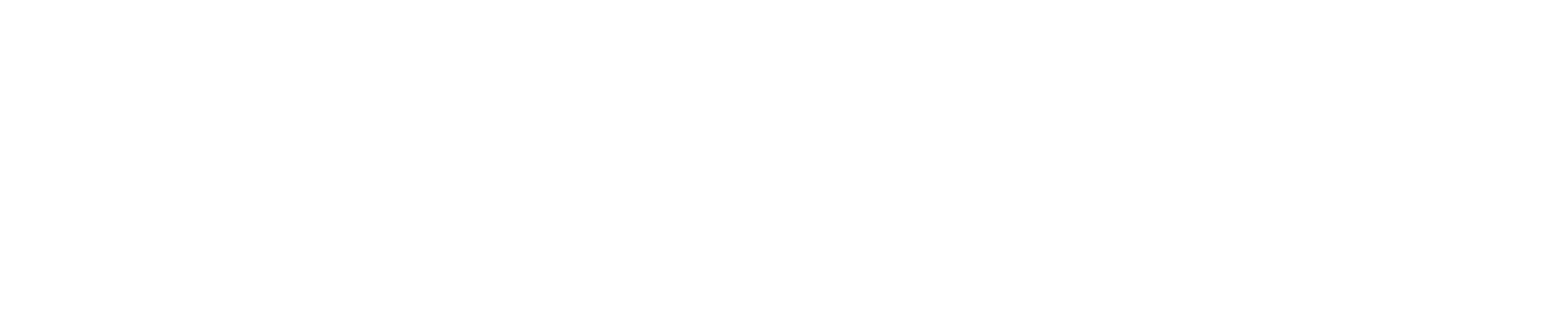 Flex Now Logo